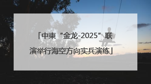 中柬“金龙-2025”联演举行海空方向实兵演练