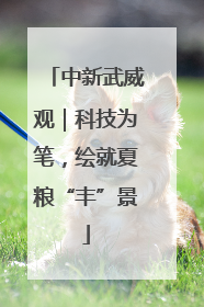 中新武威观｜科技为笔，绘就夏粮“丰”景