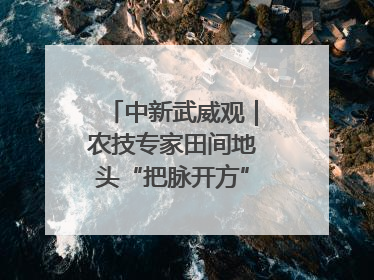 中新武威观｜农技专家田间地头“把脉开方”送“及时雨”