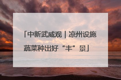 中新武威观｜凉州设施蔬菜种出好“丰”景