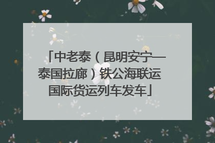 中老泰（昆明安宁—泰国拉廊）铁公海联运国际货运列车发车