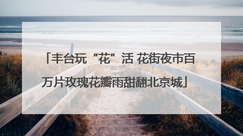 丰台玩“花”活 花街夜市百万片玫瑰花瓣雨甜翻北京城
