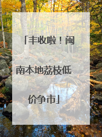 丰收啦！闽南本地荔枝低价争市