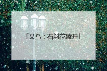 义乌：石斛花盛开