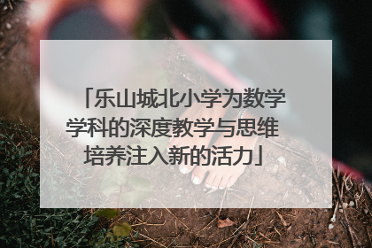 乐山城北小学为数学学科的深度教学与思维培养注入新的活力