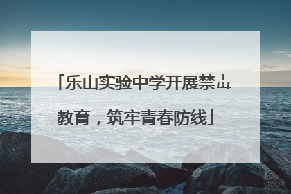乐山实验中学开展禁毒教育，筑牢青春防线