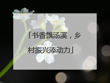 书香飘汤溪，乡村振兴添动力