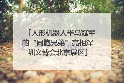人形机器人半马冠军的“同胞兄弟”亮相深圳文博会北京展区