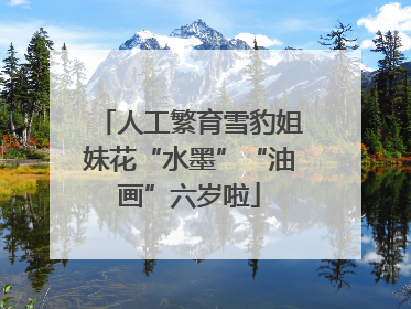 人工繁育雪豹姐妹花“水墨”“油画”六岁啦