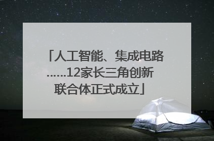 人工智能、集成电路……12家长三角创新联合体正式成立