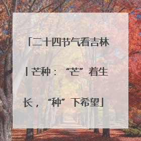 二十四节气看吉林丨芒种：“芒”着生长，“种”下希望