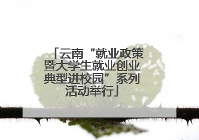 云南“就业政策暨大学生就业创业典型进校园”系列活动举行
