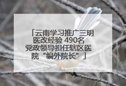 云南学习推广三明医改经验 490名党政领导担任辖区医院“编外院长”