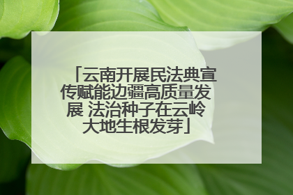 云南开展民法典宣传赋能边疆高质量发展 法治种子在云岭大地生根发芽