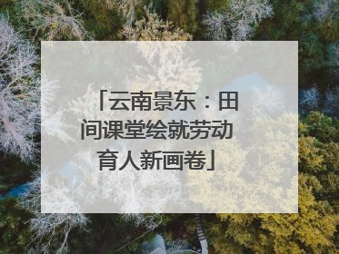 云南景东：田间课堂绘就劳动育人新画卷