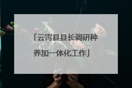 云霄县县长调研种养加一体化工作