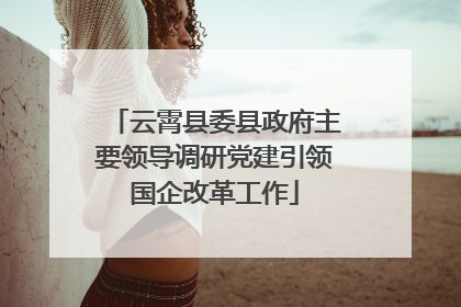 云霄县委县政府主要领导调研党建引领国企改革工作