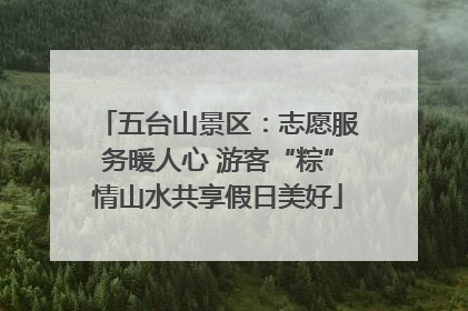 五台山景区：志愿服务暖人心 游客“粽”情山水共享假日美好