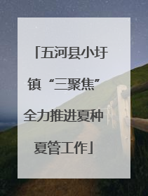 五河县小圩镇“三聚焦”全力推进夏种夏管工作