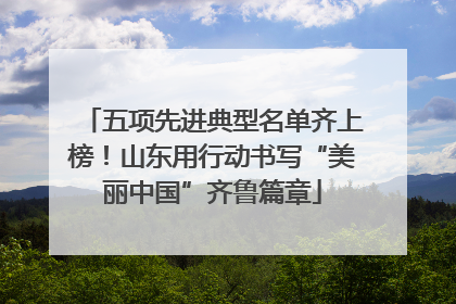 五项先进典型名单齐上榜！山东用行动书写“美丽中国”齐鲁篇章