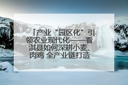 产业“园区化”引领农业现代化——看淇县如何深耕小麦、肉鸡 全产业链打造现代农业产业园
