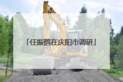 任振鹤在庆阳市调研