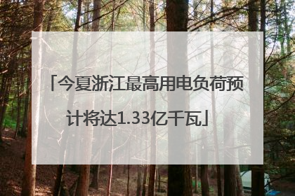 今夏浙江最高用电负荷预计将达1.33亿千瓦
