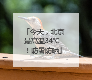 今天，北京最高温34℃！防暑防晒