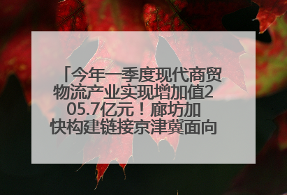 今年一季度现代商贸物流产业实现增加值205.7亿元！廊坊加快构建链接京津冀面向全世界的物流通道