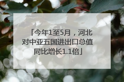 今年1至5月，河北对中亚五国进出口总值同比增长1.1倍