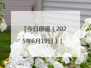今日辟谣（2025年6月19日）