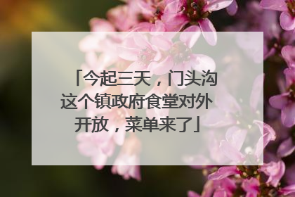 今起三天，门头沟这个镇政府食堂对外开放，菜单来了