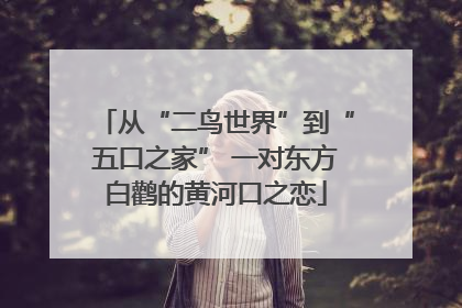 从“二鸟世界”到“五口之家” 一对东方白鹳的黄河口之恋