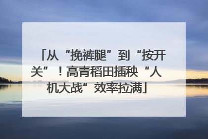 从“挽裤腿”到“按开关”！高青稻田插秧“人机大战”效率拉满