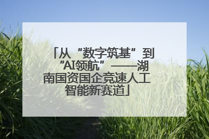 从“数字筑基”到“AI领航”——湖南国资国企竞速人工智能新赛道