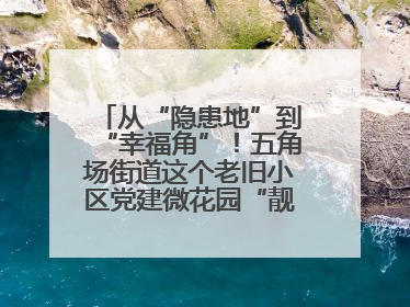 从“隐患地”到“幸福角”！五角场街道这个老旧小区党建微花园“靓”出幸福新图景