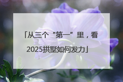 从三个“第一”里，看2025拱墅如何发力