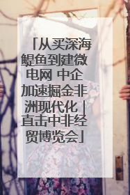 从买深海鳀鱼到建微电网 中企加速掘金非洲现代化｜直击中非经贸博览会