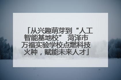 从兴趣萌芽到“人工智能基地校” 菏泽市万福实验学校点燃科技火种，赋能未来人才