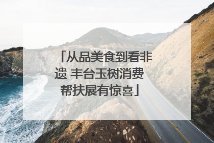 从品美食到看非遗 丰台玉树消费帮扶展有惊喜
