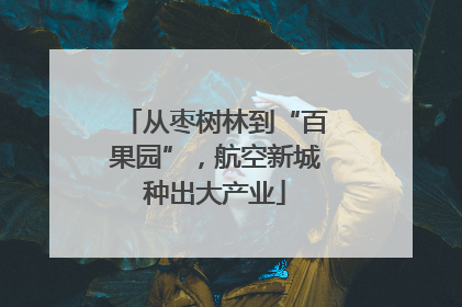 从枣树林到“百果园”，航空新城种出大产业