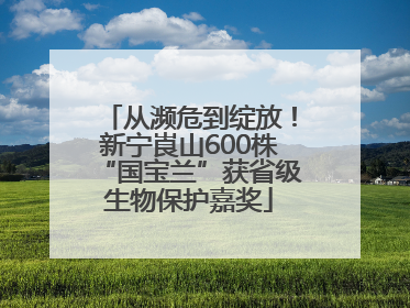 从濒危到绽放！新宁崀山600株“国宝兰”获省级生物保护嘉奖