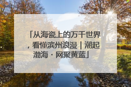 从海瓷上的万千世界，看懂滨州浪漫｜潮起渤海・网聚黄蓝