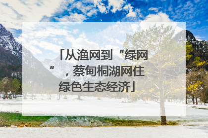 从渔网到“绿网”，蔡甸桐湖网住绿色生态经济