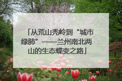 从荒山秃岭到“城市绿肺”——兰州南北两山的生态蝶变之路