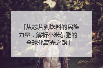 从芯片到饮料的民族力量，解析小米东鹏的全球化高光之路