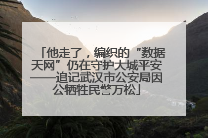 他走了，编织的“数据天网”仍在守护大城平安——追记武汉市公安局因公牺牲民警万松