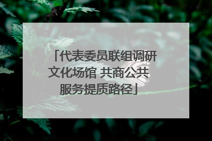 代表委员联组调研文化场馆 共商公共服务提质路径