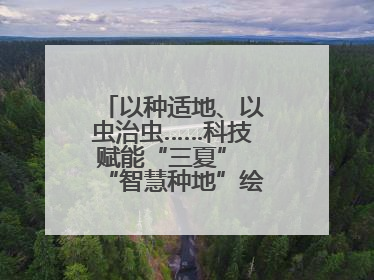 以种适地、以虫治虫……科技赋能“三夏” “智慧种地”绘就好“丰”景