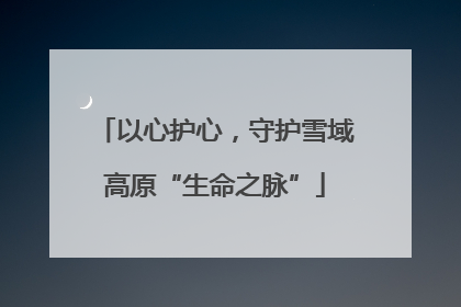 以心护心，守护雪域高原“生命之脉”